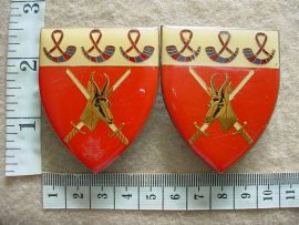 5623 Orange Free State Command arm flashes (F417 and F418)