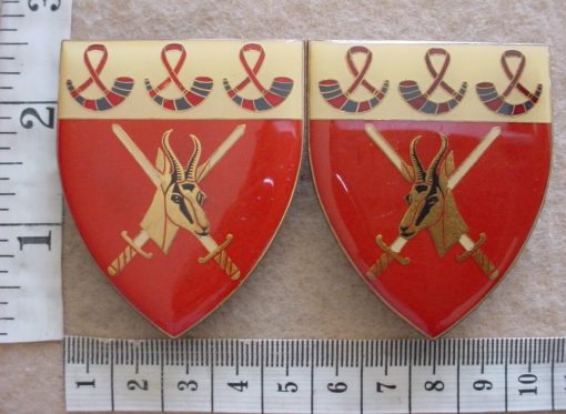 5945 Orange Free State Command arm flashes (F419 and F420)