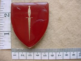 5453 Transkei Special Forces arm flash (F47)