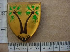 5988 South West Africa Logistics Unit arm flash (F517)