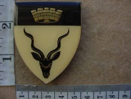 5993 SWA 91 Armoured Cars Regiment arm flash (Ref. F532)
