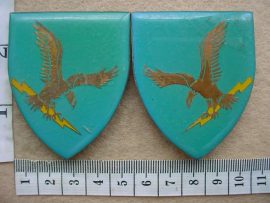 9561 Ciskei Army arm flashes (F573 and 574)