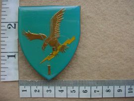 9565 Ciskei Army 1 Ciskei Battalion arm flash (F576)