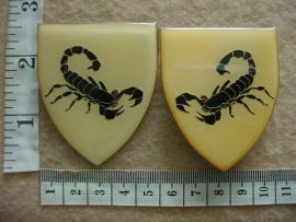 7556 Gatsrand Commando arm flashes (F583 and F584)