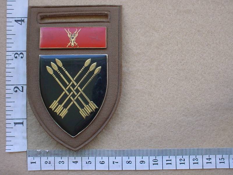 4684 32 Battalion arm flash, Chief of the Army balkie (F59)