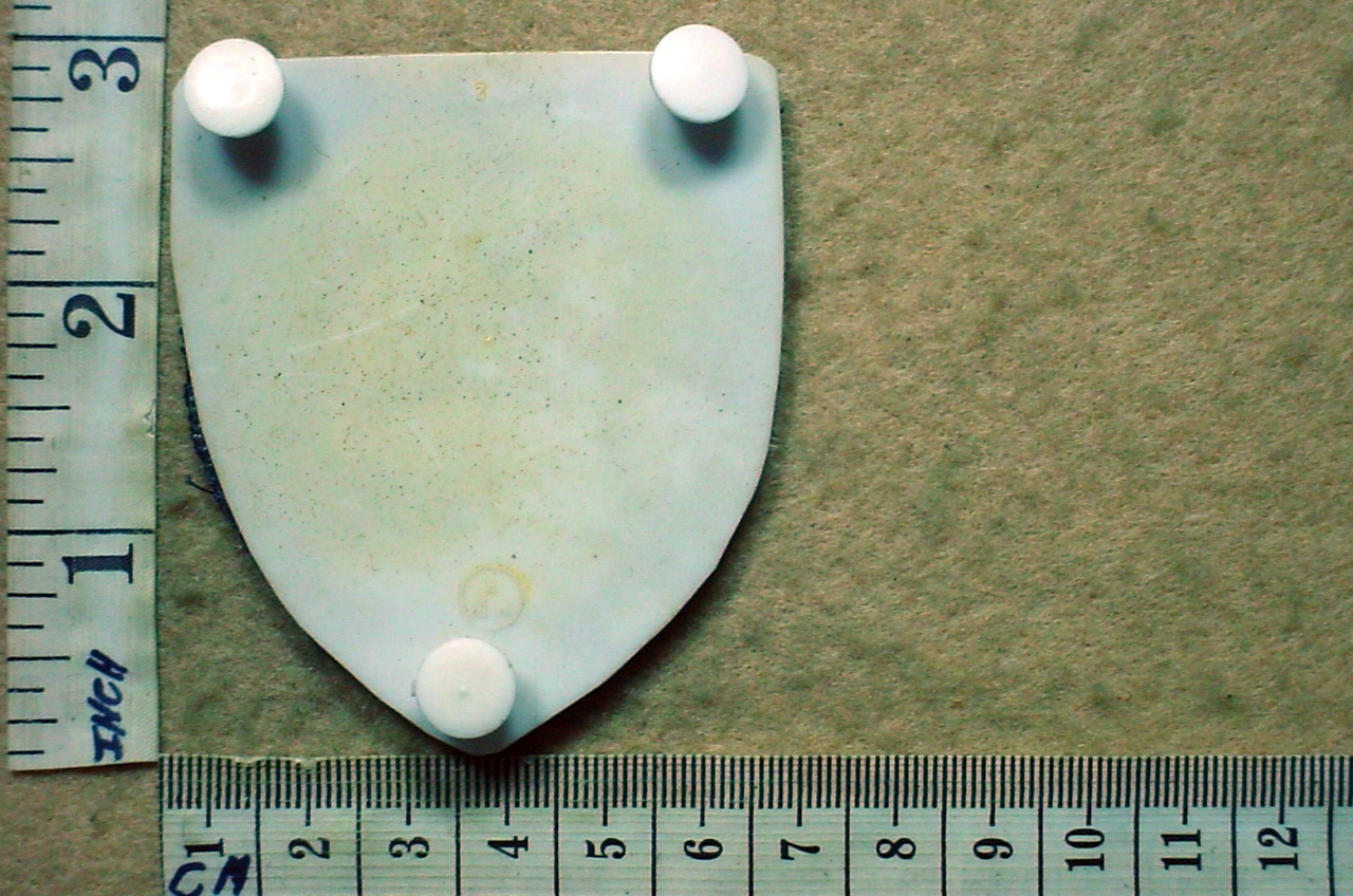 7564 South African Police State President's Guard arm flash (F668) - Image 2