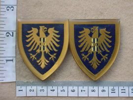 5717 South African Police State President's Guard arm flashes (F671-F672)