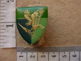 9227 5 Signal Regiment affiliation pocket flash (Ref. F744)