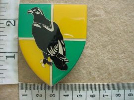 11047 Group 36 Headquarters arm flash (F874)