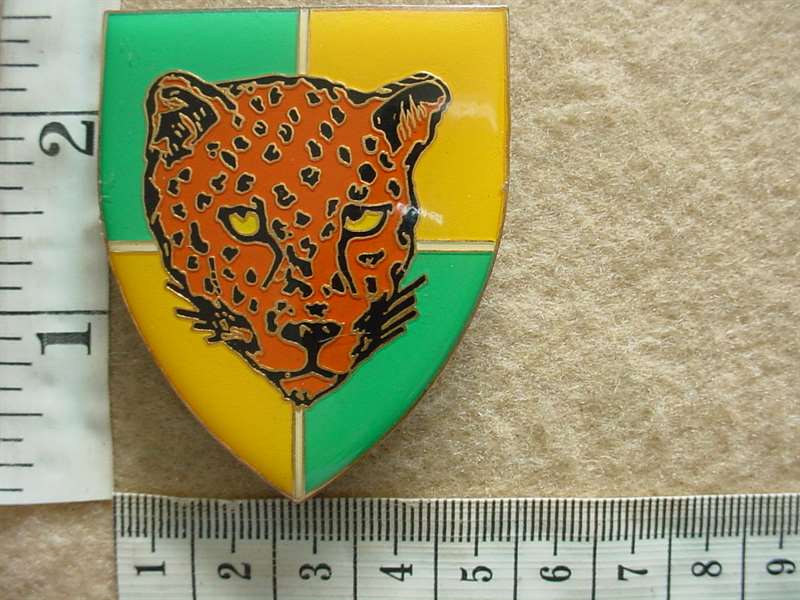 5287 Group 35 Headquarters arm flash, 1st pattern (F880)