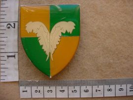 5845 Group 4 Headquarters arm flash (F886-F1195)