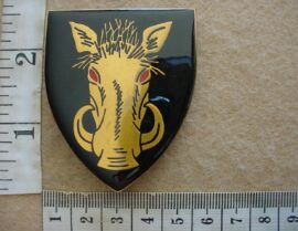 5473 Soutpansberg Military Area arm flash (F89)