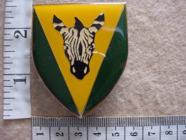 5865 Cape Regiment arm flash (F967)