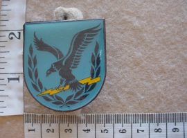6565 Ciskei Army Officers cap badge (F994)