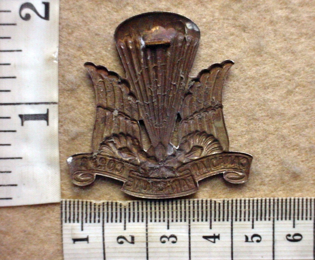 2734 Canadian Parachute Regiment cap badge FAKE (Para Canada) - Image 2