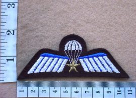 3907 Netherlands Army parachute wings (Para Netherlands)