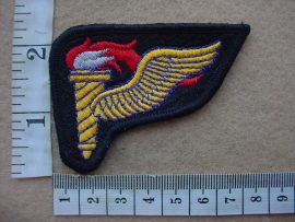9991 United States Army Pathfinder paratrooper wing (Para USA)