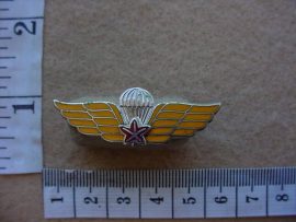 3822 Canadian army dual qualification paratrooper wings (Ref. Para Canada)
