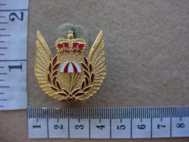 3833 Royal Canadian Air Force Parachute Rescue wings (Ref. Para Canada)