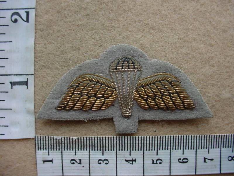 3950 Royal Army Education Corps para wings (Ref. Para England)