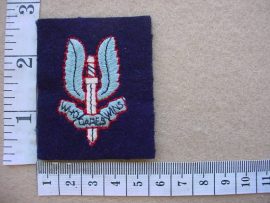 3910 New Zealand Special Air Service beret badge (Para NZ)