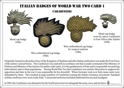 8699 Italian Military Police cap badge, WW2, Carabinieri Reali (Police Italy) - Image 2