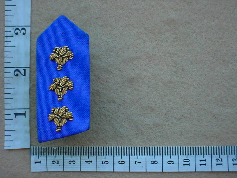 5155 Namibia Police Force Inspector collar gorget (Ref. Police Namibia)