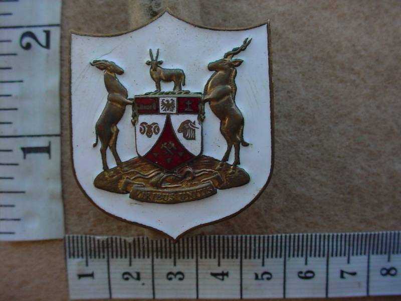 6125 SWA Traffic Police Control cap badge (Police SWA)