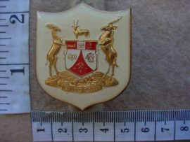 6126 SWA Traffic Police cap badge (Police SWA)