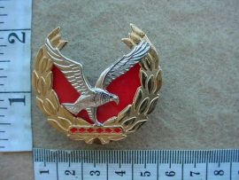 5156 Namibia Police Force Warrant Officer Class 1 rank (Ref. Police Namibia)