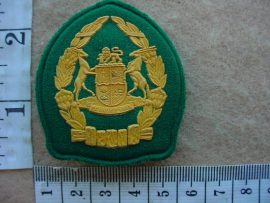 4856 SA Prisons Service Warrant Officer rank (Ranks SA)
