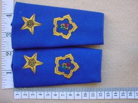 4771 SA Police Lieutenant Colonels rank epaulettes (Ref. Ranks SA)