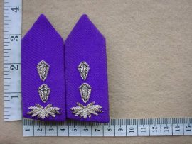 7159 SWA Police Chaplain Colonel rank gorgets (Ref. Ranks SWAPOL)