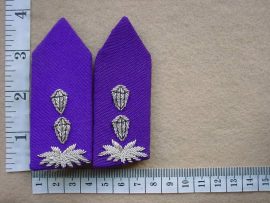 7160 SWA Police Chaplain Colonel rank gorgets (Ranks SWAPOL)