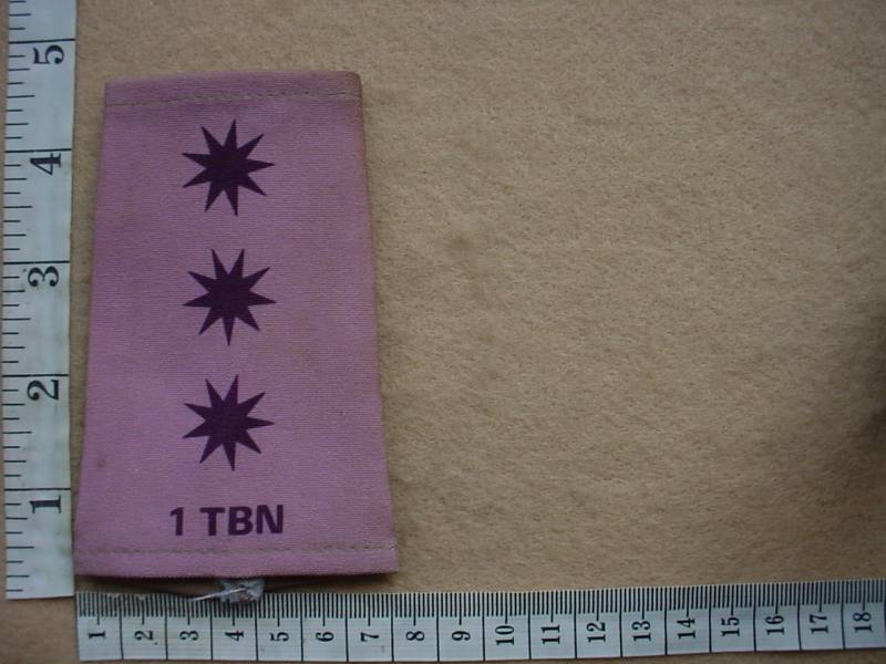 6214 1 Transkei Battalion Captain rank epaulette (Ref. Ranks Transkei)