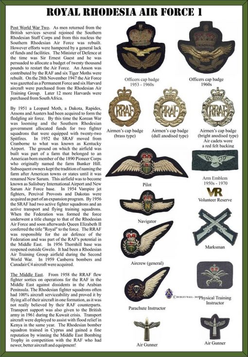 4867 Rhodesian Air Force Air Gunner trade badge (DW2 301) - Image 3