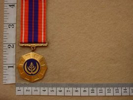 9368 Pro Patria Medal (Ref. SA)