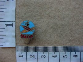6494 SA Air Force 17 Squadron WWII lapel badge (Ref. AF SA)
