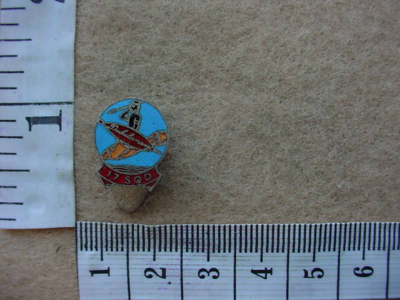 6494 SA Air Force 17 Squadron WWII lapel badge (Ref. AF SA)