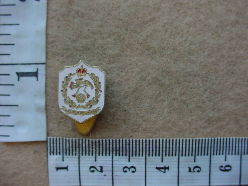 6497 SA Air Force 3 Fighter Squadron WWII lapel badge (Ref. AF SA)