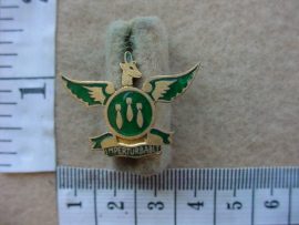 6502 SA Air Force 3 Medium Bomber Wing WWII lapel badge (Ref. AF SA)