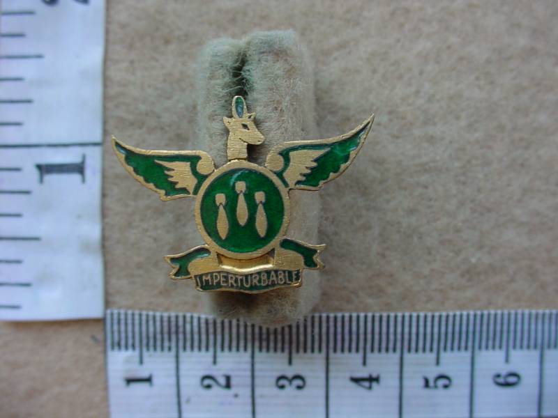 6502 SA Air Force 3 Medium Bomber Wing WWII lapel badge (Ref. AF SA)