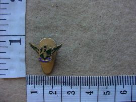 6503 SA Air Force 21 Bomber Squadron WWII lapel badge (Ref. AF SA)