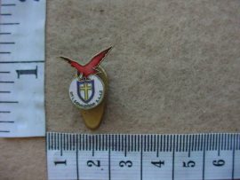 6504 SA Air Force 21 Bomber Squadron WWII lapel badge (Ref. AF SA)