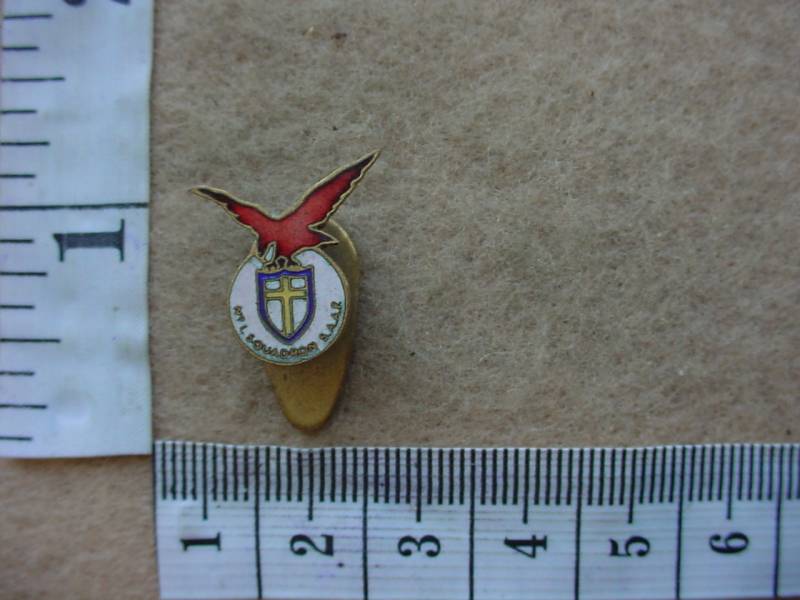 6504 SA Air Force 21 Bomber Squadron WWII lapel badge (Ref. AF SA)