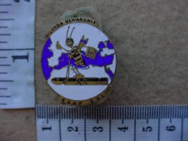 6489 SA Air Force 22 Bomber Squadron WWII lapel badge (Ref. AF SA)