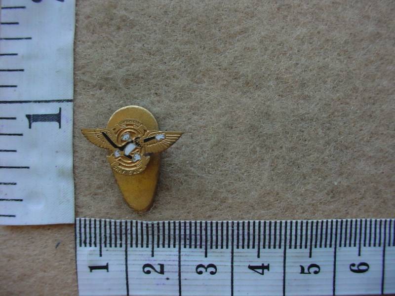 6492 SA Air Force 9 Fighter Squadron WW2 lapel badge ( AF SA)