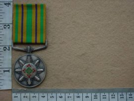 6694 SA Police Star for Faithful Service (Ref. SAP)
