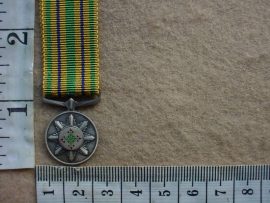 6695 SA Police Star for Faithful Service miniature (Ref. SAP)