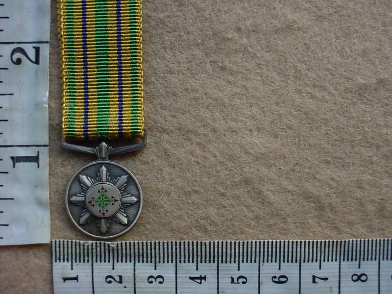 6695 SA Police Star for Faithful Service miniature (Ref. SAP)
